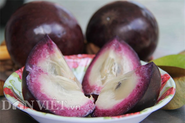 vuon vu sua tim than 