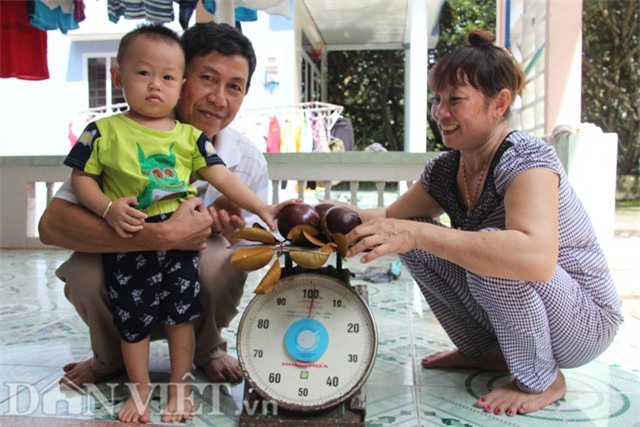 vuon vu sua tim than 