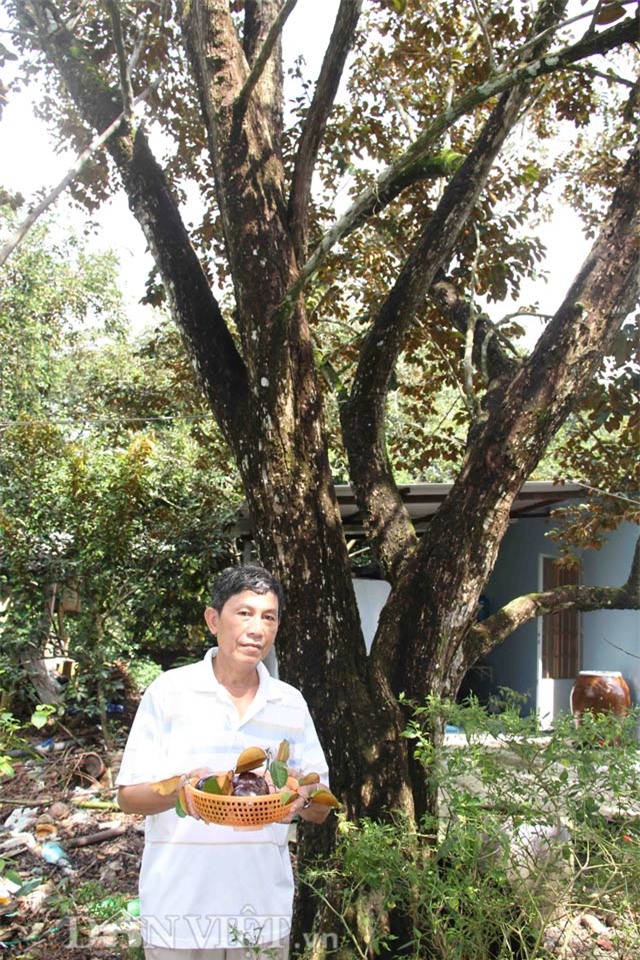 vuon vu sua tim than 