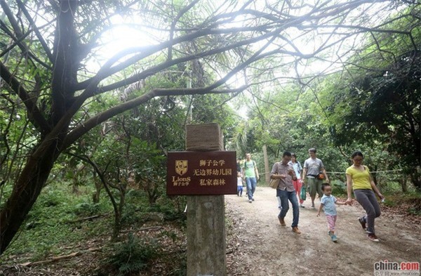 mẫu giáo, nhà giàu, song ngữ, quốc tế, thượng lưu