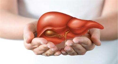 12 công thức, giải độc gan, bác sĩ