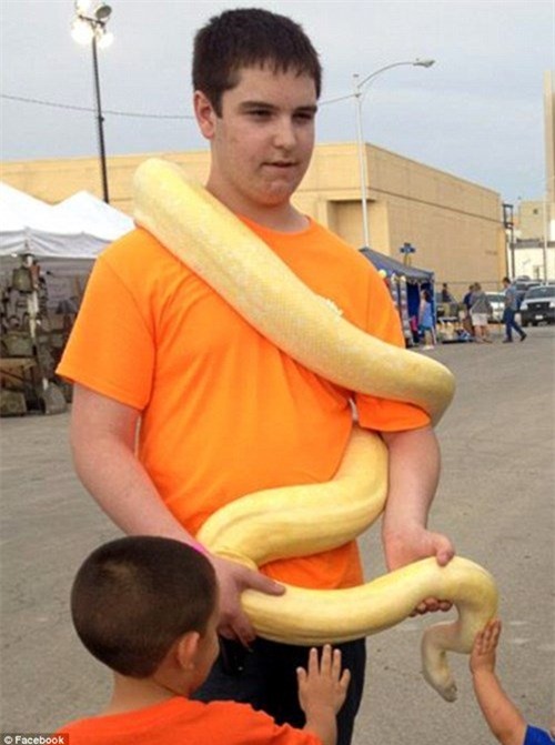 thanh nien yeu dong vat ngoi yen de ran doc can den chet hinh anh 3