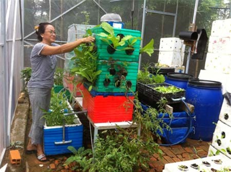 chăn nuôi, tiết kiệm, nuôi cá, trồng rau, ban công, ao cá, rau sạch, chăn-nuôi, tiết-kiệm, nuôi-cá, trồng-rau, ban-công, ao-cá, rau-sạch,