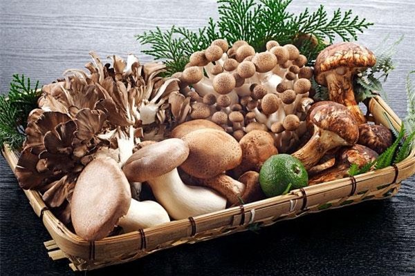 Những loại nấm bạn nên ăn vì cực tốt cho sức khỏe - 2