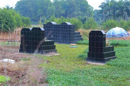 vàng giả, Trung Quốc, tiệm vàng, bán vàng, chất độc vàng ô, chăn nuôi, tiêm chất bảo quản, rau muống, cà chua, sim vip, cơm cháy chà bông, trà nở hoa, giá vàng, vàng-giả, Trung-Quốc, tiệm-vàng, bán-vàng, chất-độc-vàng-ô, chăn-nuôi, tiêm-chất-bảo-quản, rau