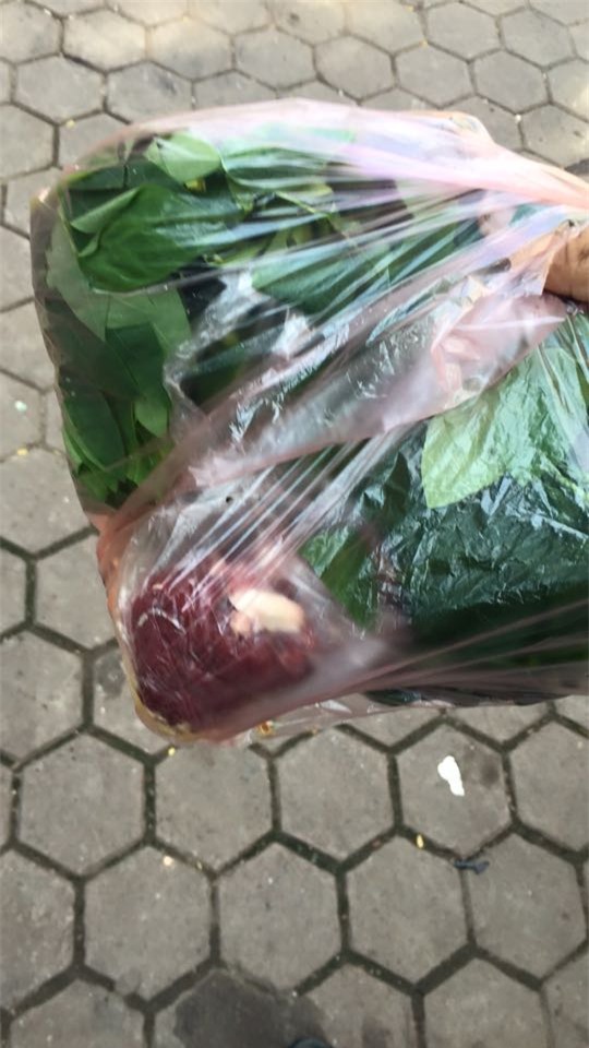 Ông bố, xin sữa, 'chăn rau', chuyên nghiệp, lừa tình