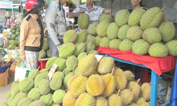 sầu riêng, Tiền Giang, miền Tây, hóa chất, rớt giá, thương lái, sầu-riêng, Tiền-Giang, miền-Tây, hóa-chất, rớt-giá, thương-lái,