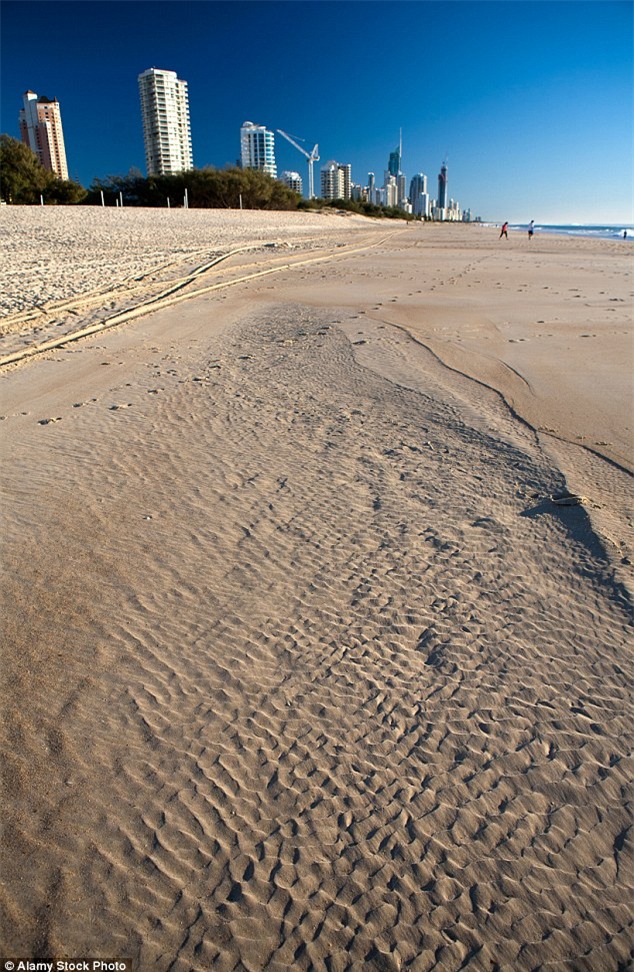 Xuất hiện sinh vật biển tự phát ra ánh điện màu xanh kỳ lạ - Ảnh 2