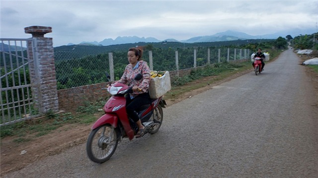 Cam Cao Phong, tỷ phú, nông dân, đặc sản vùng cao, thu hoạch, được mùa, cam-cao-phong, hòa-bình, nông-dân, tỷ-phú, thu-hoạch, được-mùa
