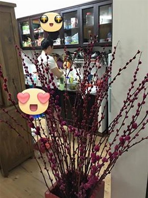 mỹ nhân Việt 13