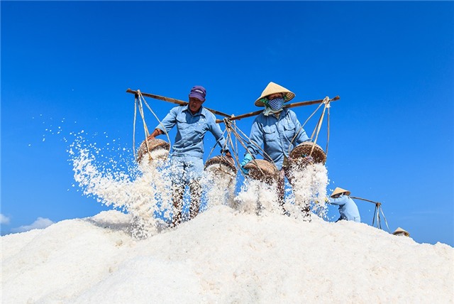 Những người công nhân trên cánh đống muối Hòn Khói, Ninh Hòa, Khánh Hòa. Ảnh: JetHuynh/Picfair.