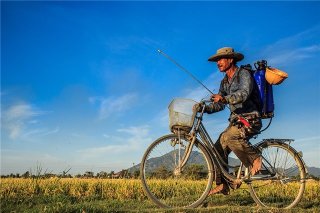 Người đàn ông trên chiếc xe đạp trở về nhà trong ráng chiều sau một ngày lao động trên cánh đồng. Ảnh: Wolf/Picfair.