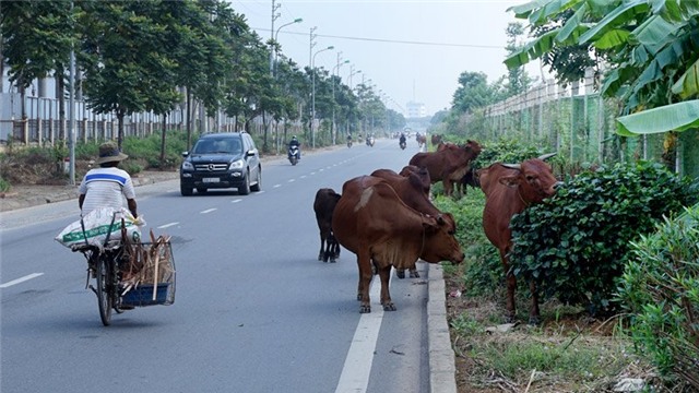 dai lo Thang Long, dai lo hien dai nhat Viet Nam, dai lo ngan ty, giao thong ky quac, đại lộ Thăng Long, đại lộ ngàn tỷ, giao thông kỳ quặc