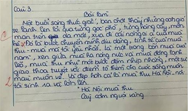 bài văn, học sinh, tranh cãi, 0 điểm