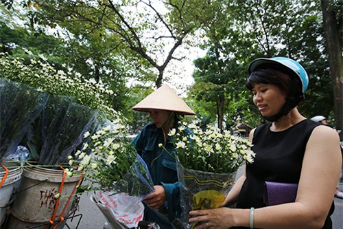 Hà Nội đẹp tinh khôi mùa hoa cúc họa mi - 17