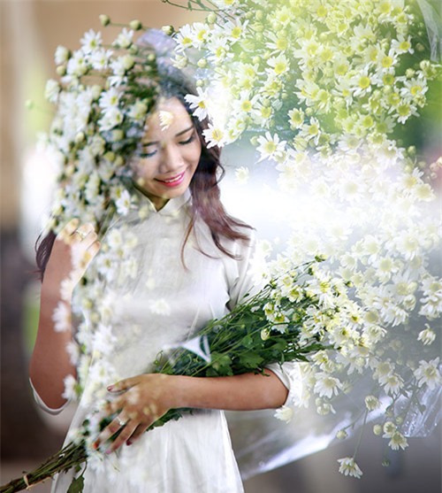 Hà Nội đẹp tinh khôi mùa hoa cúc họa mi - 19