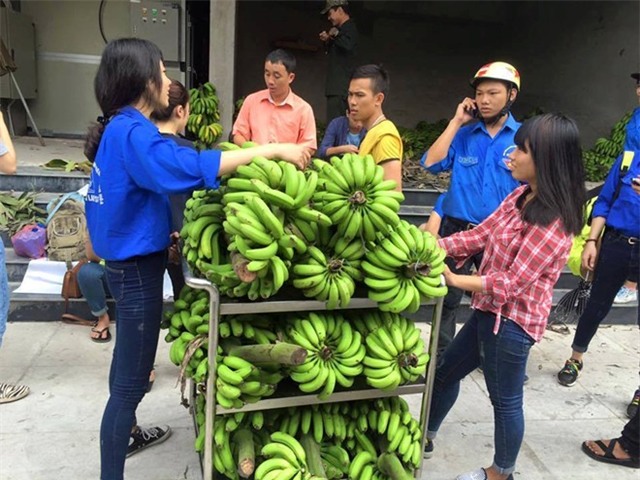 Cả nghìn buồng chuối ế: Lỗi không hẳn do lái buôn Trung Quốc