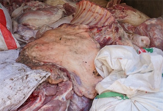 Chặn đứng gần 5 tấn thịt heo bệnh sắp vào chợ-2