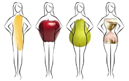 Nguy cơ bệnh tật qua từng loại vóc dáng - 1