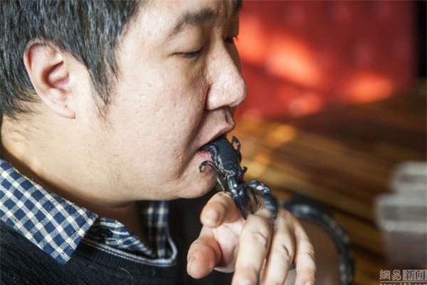 Kiếm sống bằng nghề chơi đùa với động vật có nọc độc