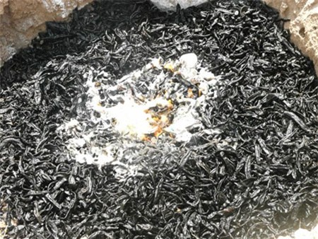 sinh vật nguy hại, buôn bán đỉa, thương lái, Trung Quốc, thực phẩm, đỉa sấy khô, tin-đồn, buôn-bán-đỉa, thương-lái, Trung-Quốc, hoang-mang, đông-y, sinh-vật-nguy-hại