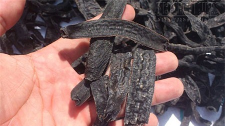 nhuộm màu, ‘bột tạo màu’, chim cút, tăng trọng, hóa chất, thủy sản, hải sản, thực phẩm chức năng, USD giả, thương lái, Trung Quốc, hoa Atiso đỏ, đỉa sấy khô, ôtô nhập, giá xăng, nhuộm-màu, ‘bột-tạo-màu’, chim-cút, tăng-trọng, hóa-chất, thủy-sản, hải-sản,