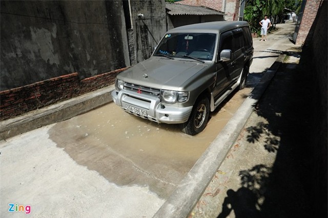 Bên trong trại lợn 'ba không' ở Hà Nội