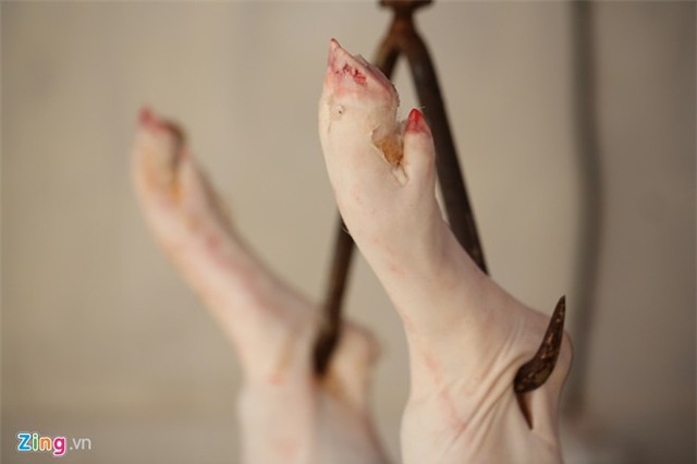 Bên trong trại lợn 'ba không' ở Hà Nội