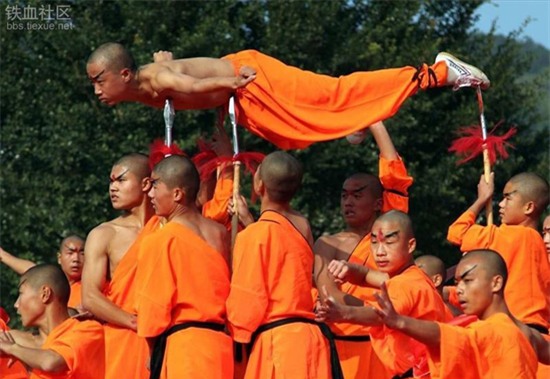 tuyet dinh kungfu