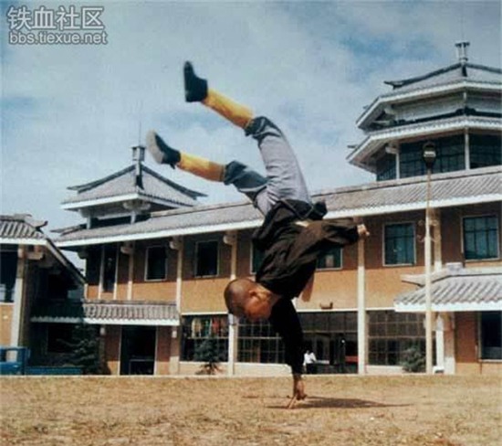 tuyet dinh kungfu
