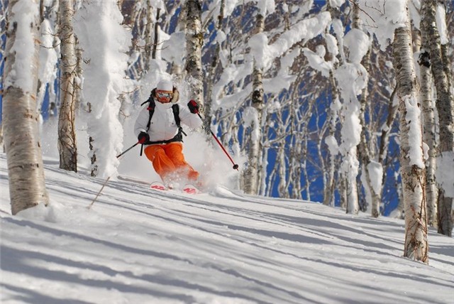 Hokkaido, Nhật Bản: Đây là địa điểm lý tưởng cho những ai yêu thích các môn thể thao mùa đông. Đặc biệt, tuyết ở đây rất khô và nhẹ, tạo ra thiên đường cho trượt tuyết và trượt ván. Sau một ngày vui chơi, du khách có thể ngâm mình trong suối nước nóng, thưởng thức rượu sake và các món ăn truyền thống.
