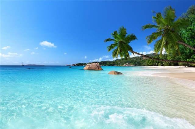 Seychelles: Nằm ngoài khơi Kenya, quần đảo Seychelles có 115 hòn đảo trù phú. Sáu công viên biển quốc gia được bảo vệ nghiêm ngặt ở Seychelles là nhà của những loài rùa, cá heo quý hiếm, cùng hàng nghìn loài cá. Đến với khu bảo tồn Vallée de Mai, du khách sẽ có cảm tưởng như lạc vào thời tiền sử.