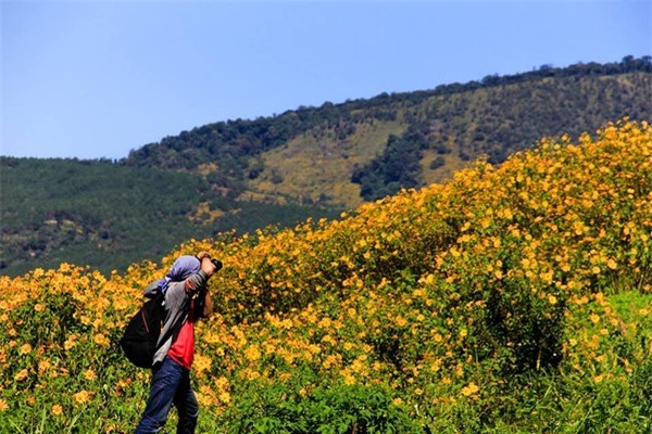 ngongangtruocvedepnhungmuahoavietnamivivu12-e0219