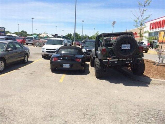 chum anh: nhung nguoi thich "treu nguoi" than chet hinh anh 4