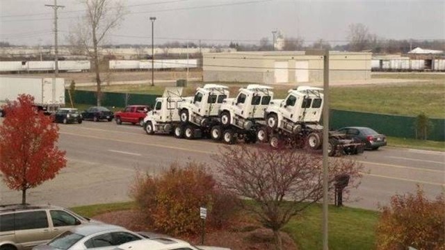 chum anh: nhung nguoi thich "treu nguoi" than chet hinh anh 5