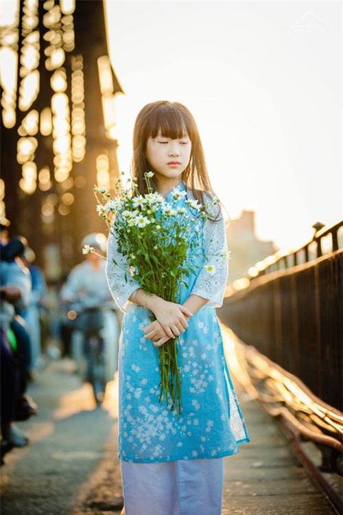 Bé gái Hà Nội đẹp mong manh trong mùa cúc họa mi - 10