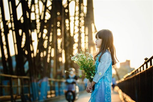 Bé gái Hà Nội đẹp mong manh trong mùa cúc họa mi - 11
