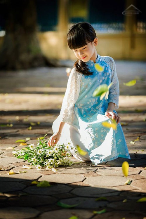 Bé gái Hà Nội đẹp mong manh trong mùa cúc họa mi - 5