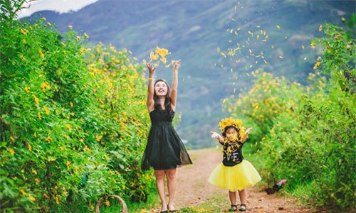 Đẹp ngẩn ngơ ảnh mẹ và con gái trên đồi dã quỳ vàng rực - 11