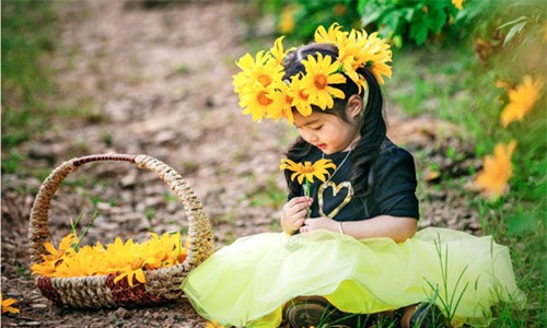 Đẹp ngẩn ngơ ảnh mẹ và con gái trên đồi dã quỳ vàng rực - 13