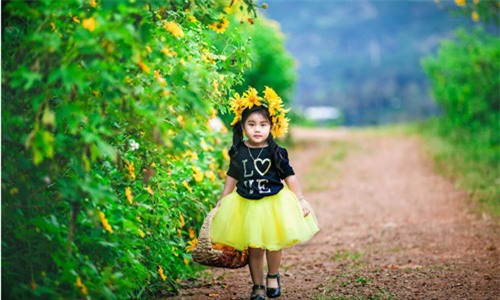 Đẹp ngẩn ngơ ảnh mẹ và con gái trên đồi dã quỳ vàng rực - 15