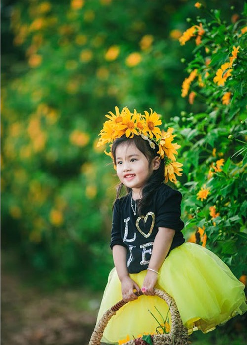 Đẹp ngẩn ngơ ảnh mẹ và con gái trên đồi dã quỳ vàng rực - 17