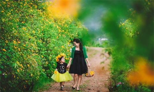 Đẹp ngẩn ngơ ảnh mẹ và con gái trên đồi dã quỳ vàng rực - 4