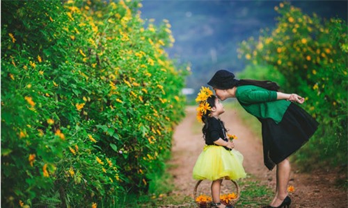 Đẹp ngẩn ngơ ảnh mẹ và con gái trên đồi dã quỳ vàng rực - 5