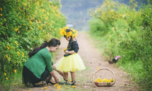 Đẹp ngẩn ngơ ảnh mẹ và con gái trên đồi dã quỳ vàng rực - 6