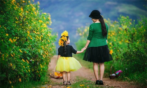 Đẹp ngẩn ngơ ảnh mẹ và con gái trên đồi dã quỳ vàng rực - 7