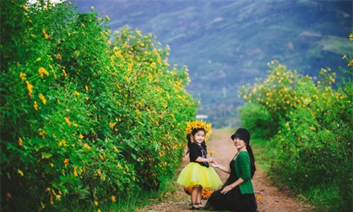 Đẹp ngẩn ngơ ảnh mẹ và con gái trên đồi dã quỳ vàng rực - 8