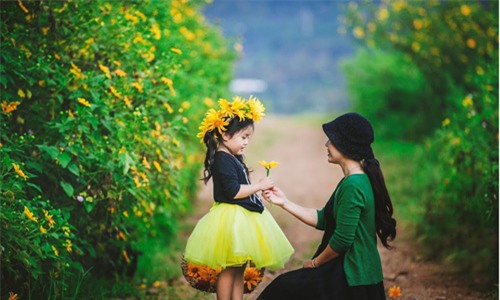 Đẹp ngẩn ngơ ảnh mẹ và con gái trên đồi dã quỳ vàng rực - 9