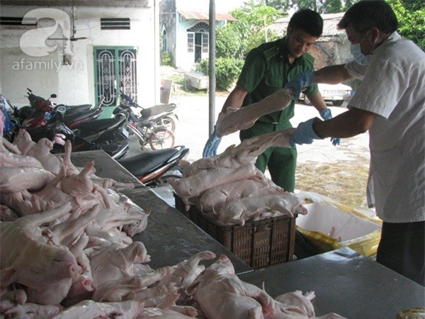 thịt heo, hóa chất, thịt lợn,