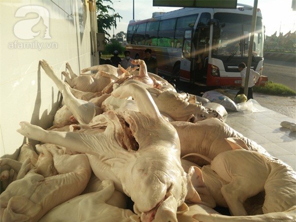 thịt heo, hóa chất, thịt lợn,